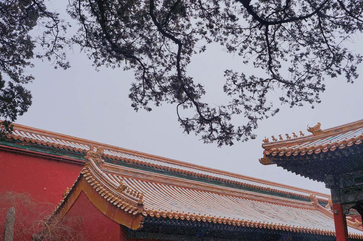 temple brown and red concrete building under tree during daytime worship