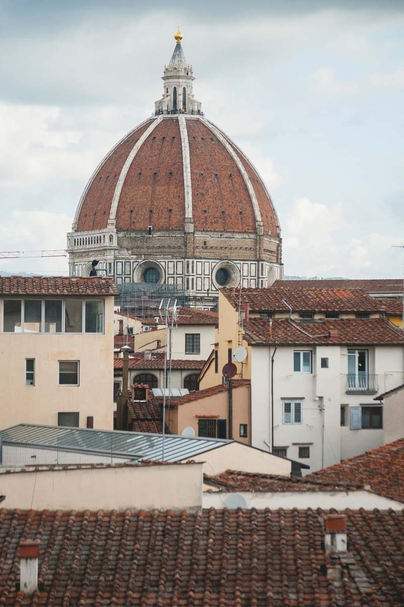 building brown and white dome building dome