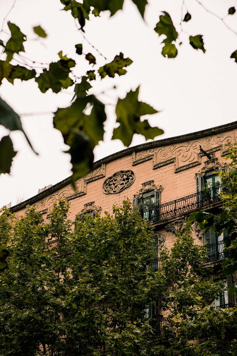 building brown bricked building by trees under white skies tower