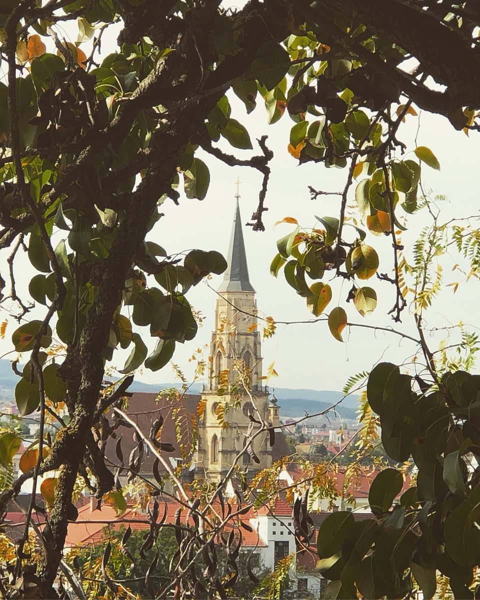 building brown buildings during daytime spire