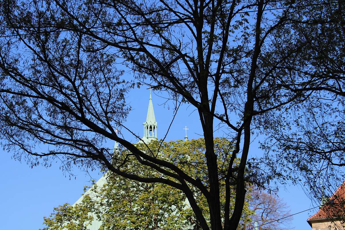 building brown trees spire
