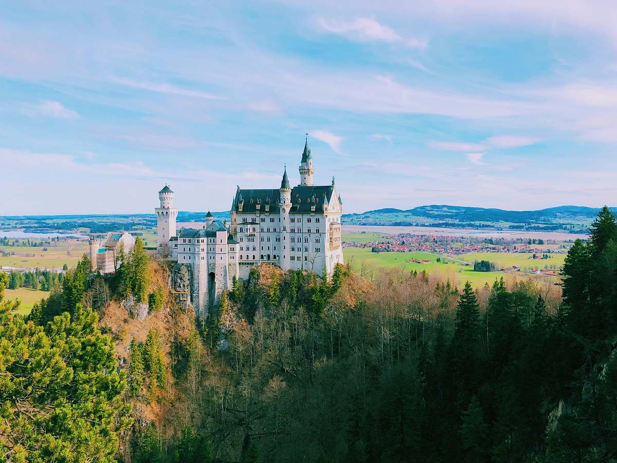 building castle above hill surrounded by trees castle