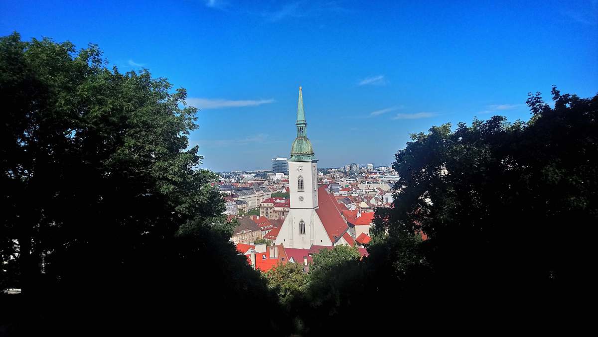 building church surrounded with house near trees tower