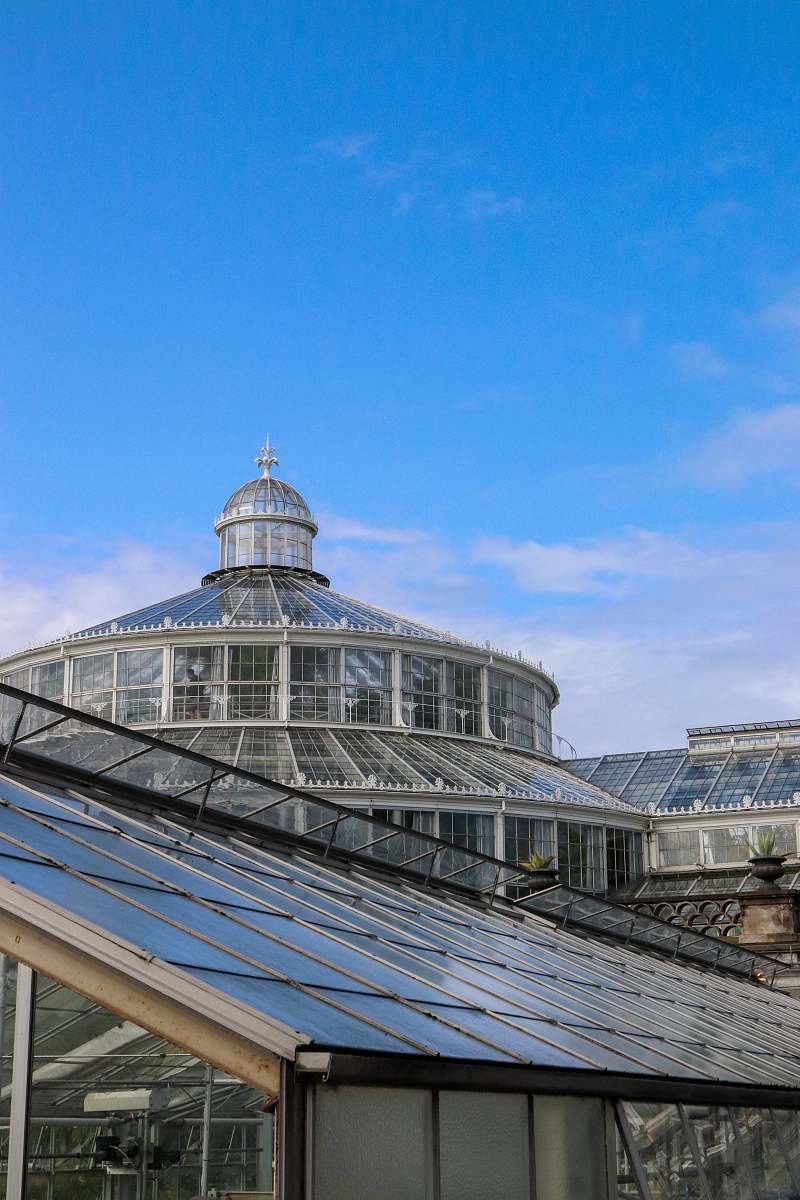 building clear glass building dome