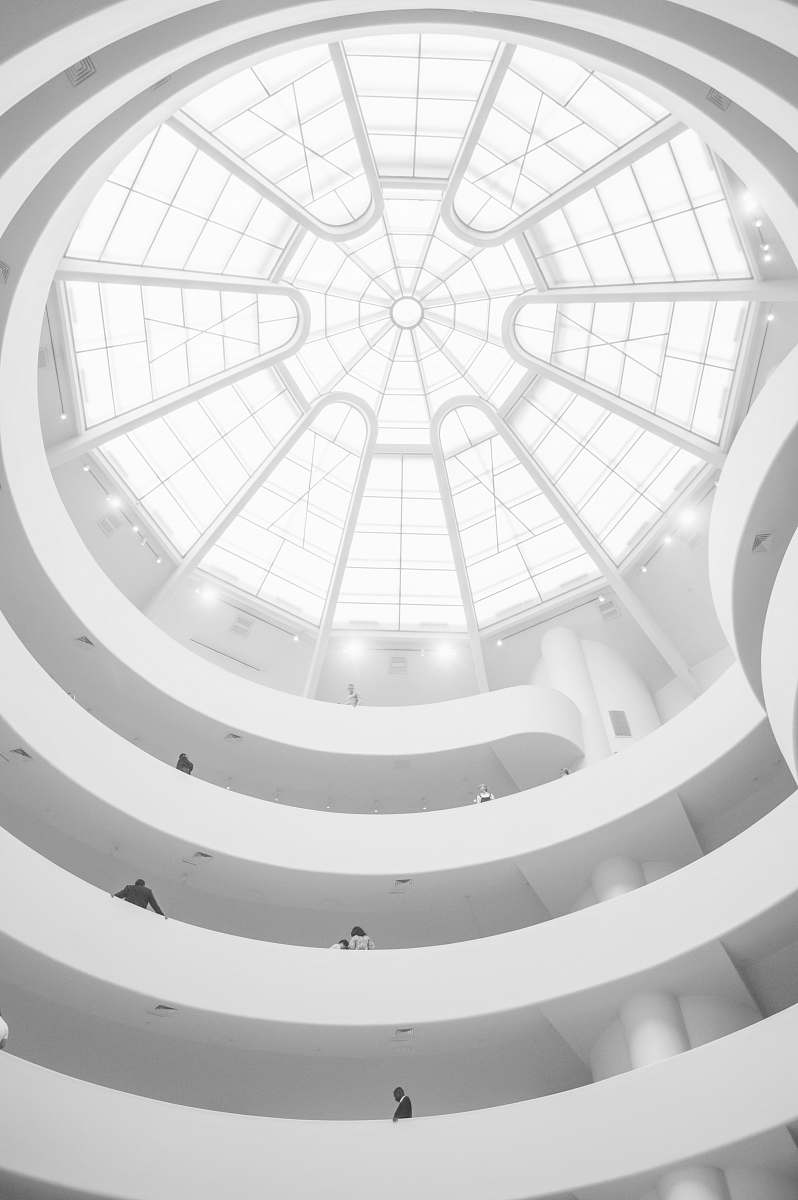 black-and-white clear glass roof white