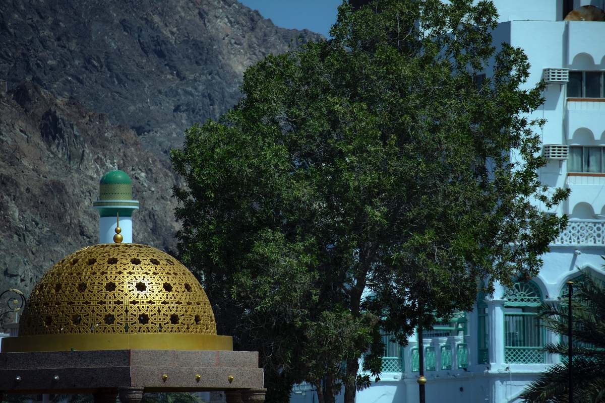 building dome building beside tree dome