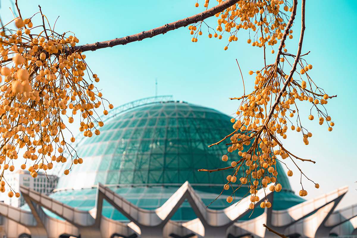 building dome-shaped building dome