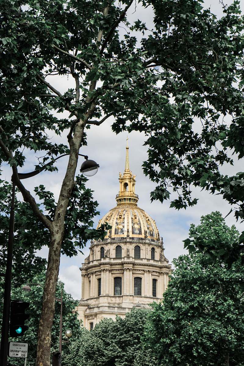 building Florence Cathedral surrounded with tall and green trees dome