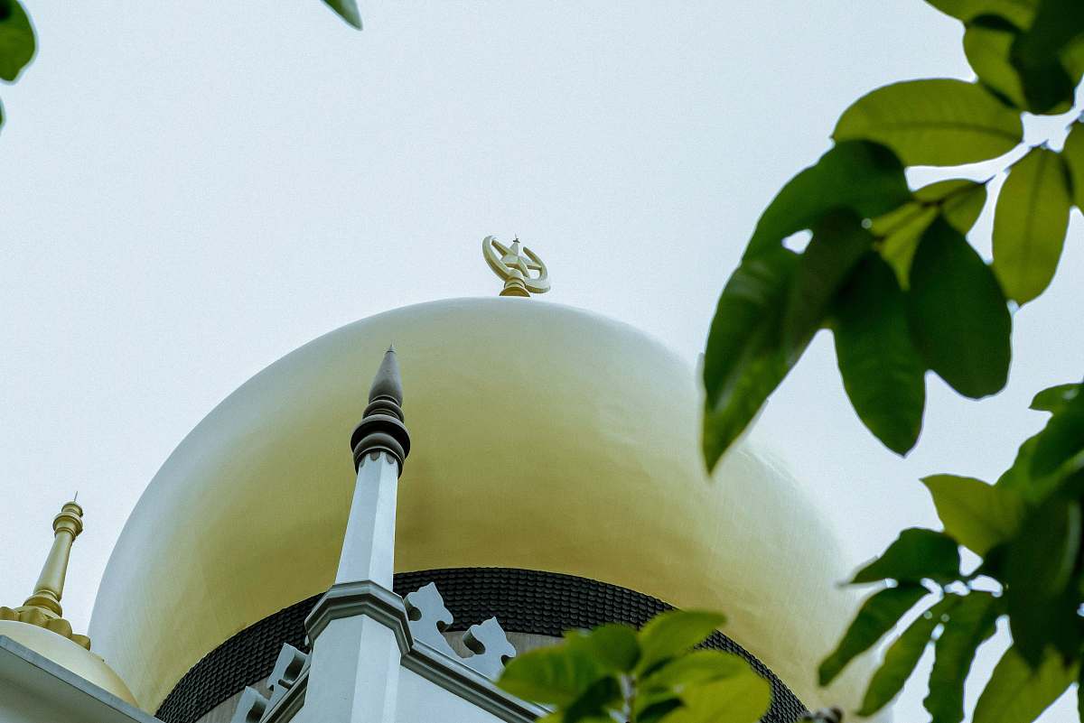 building golddome building dome