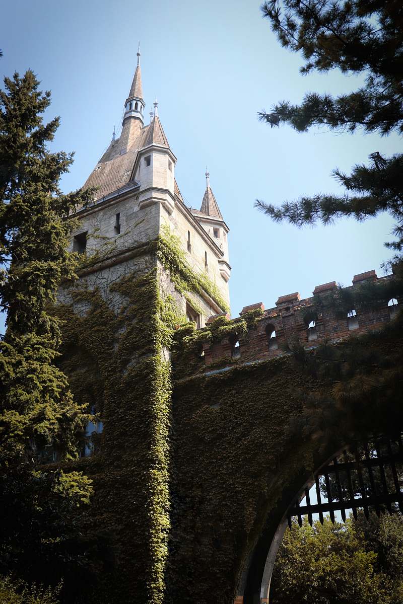 building gray brick tower with bridge tower