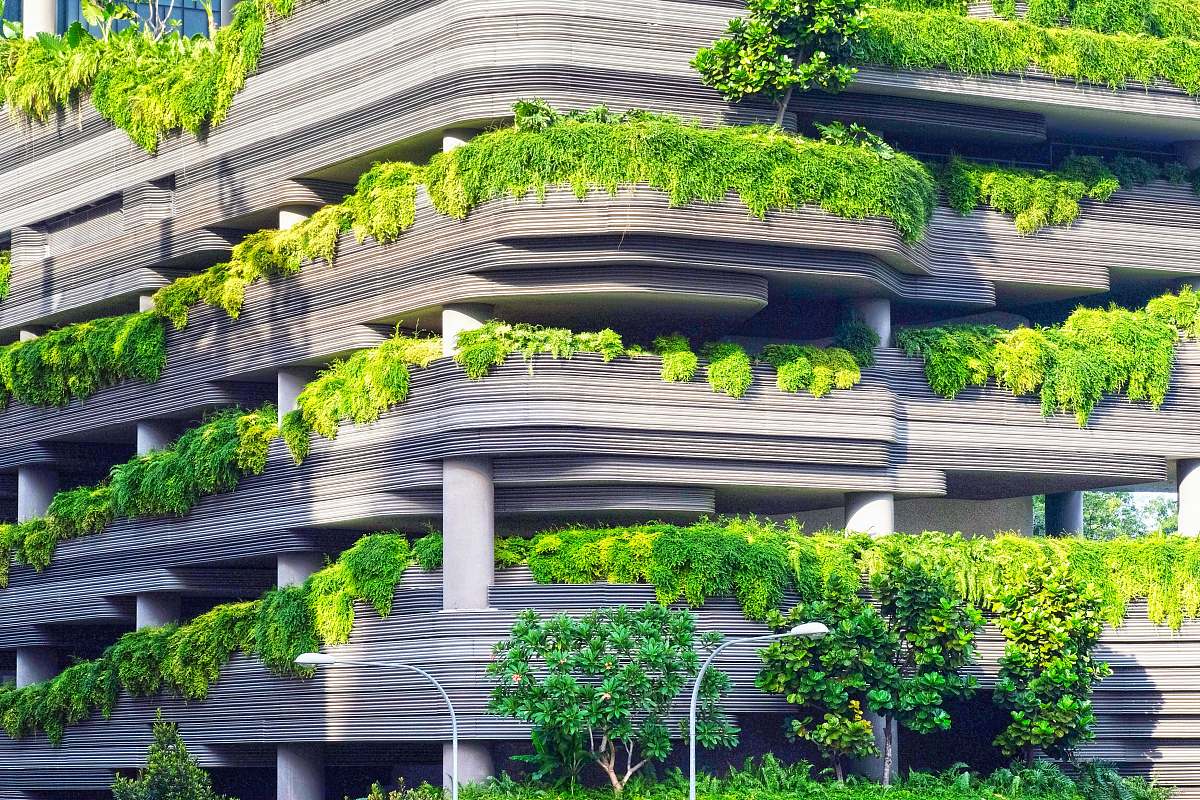 building gray concrete building covered trees plant