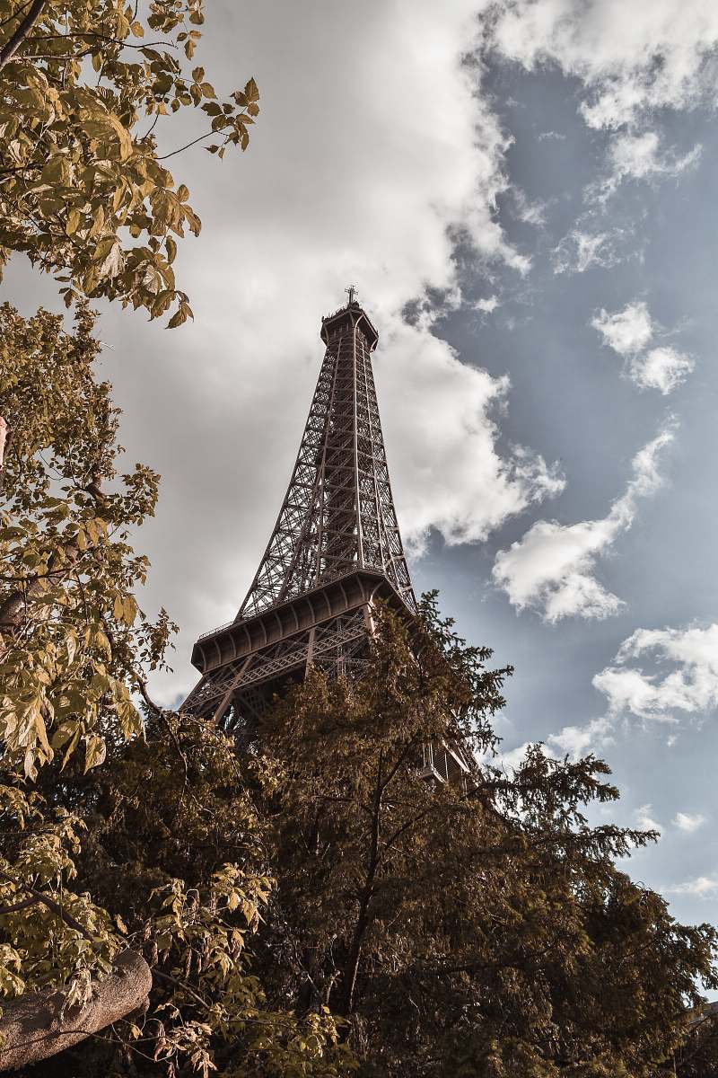 building gray metal tower beside trees spire
