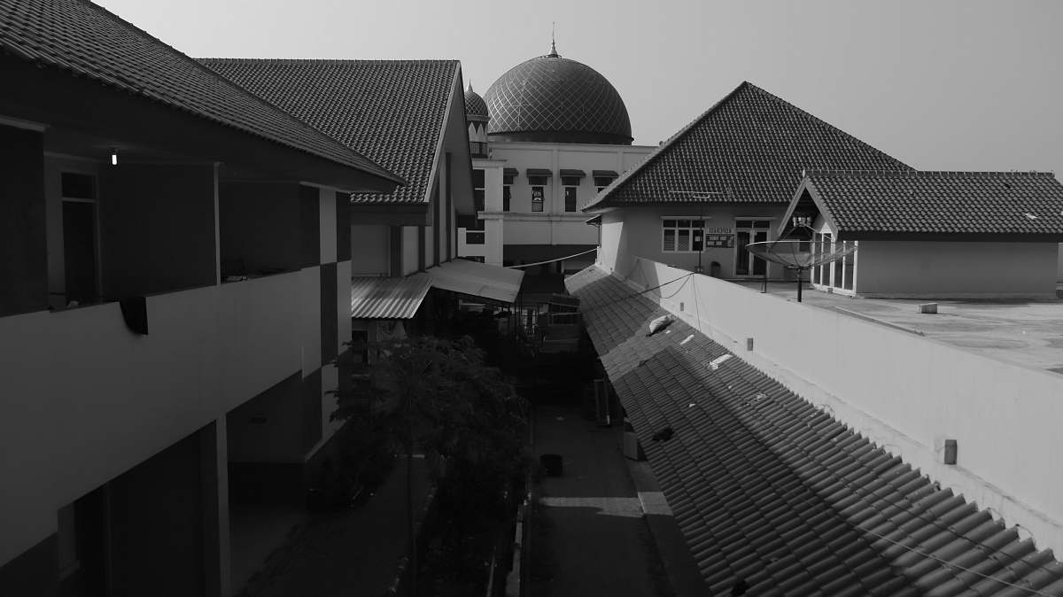 building grayscale photography of dome near building black-and-white