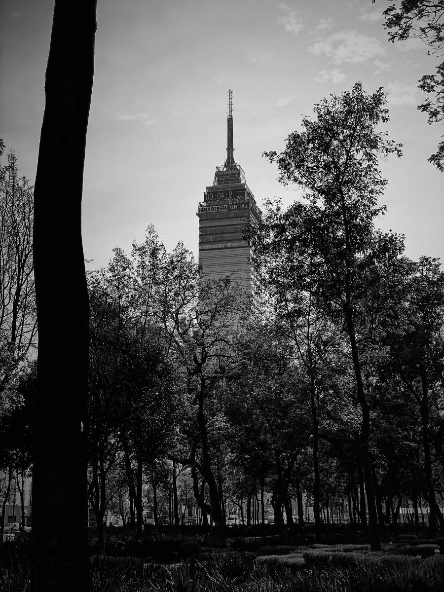 building grayscale photography of high rise building black-and-white
