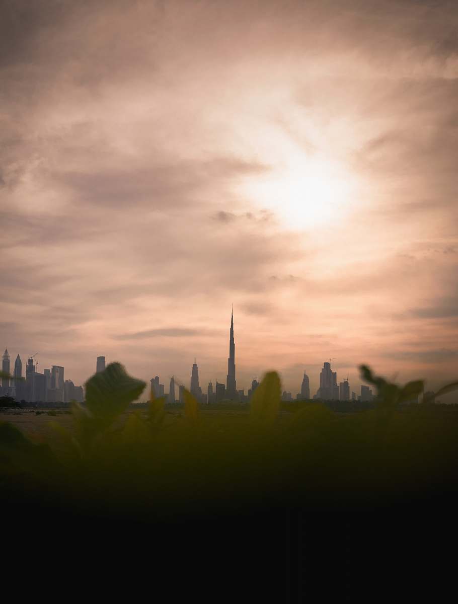 building green-leafed plants with Burj Khalifa view during daytime steeple