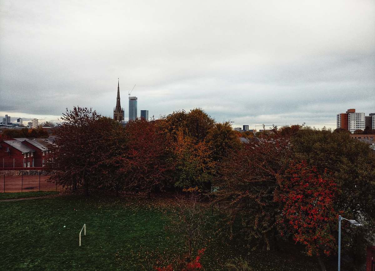 building green-leafed trees foliage under a cloudy sky spire