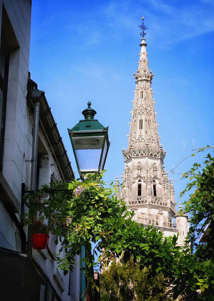 building green tree near gray concrete tower spire