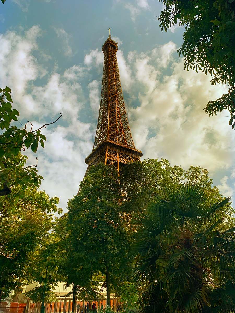 building green trees across brown tower spire