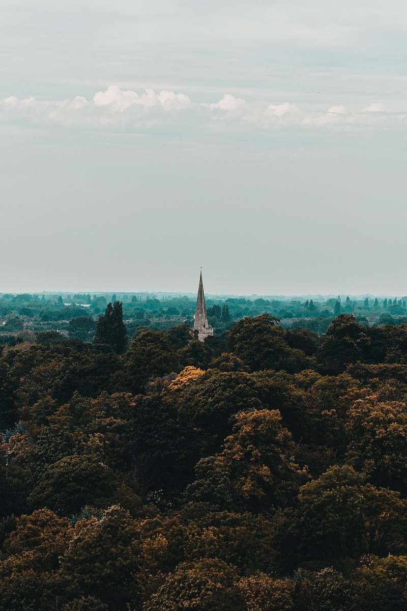 building green trees near city steeple