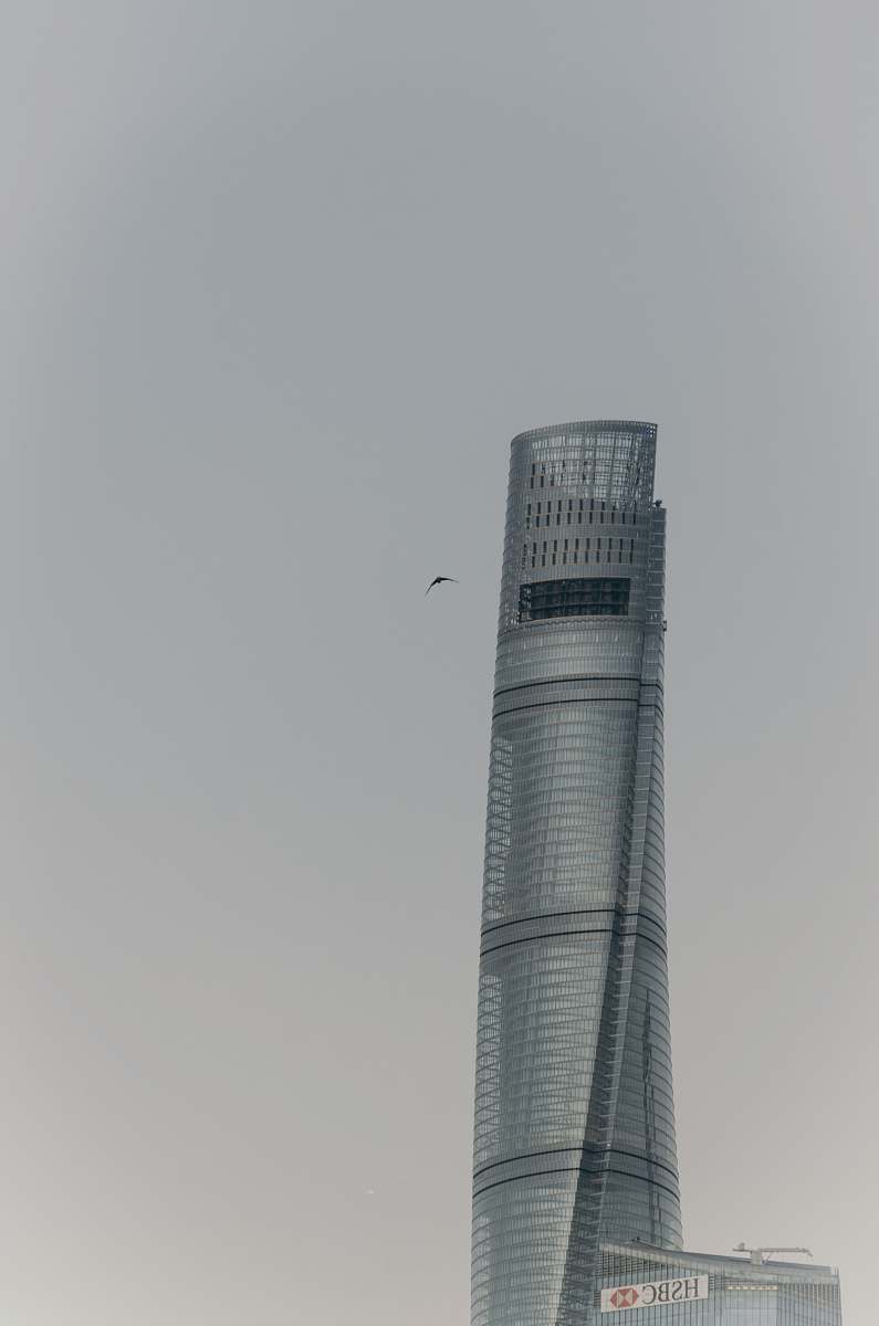 building grey curtain building during daytime tower