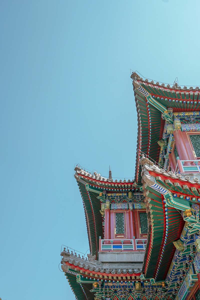 building low angle photo of buildings pagoda