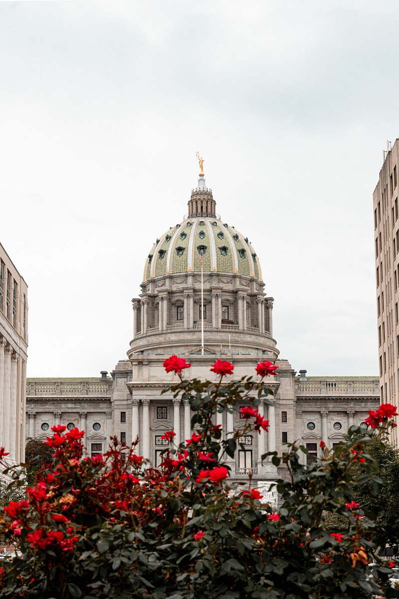 building Pennsylvania State Capitol near red rose flowers dome