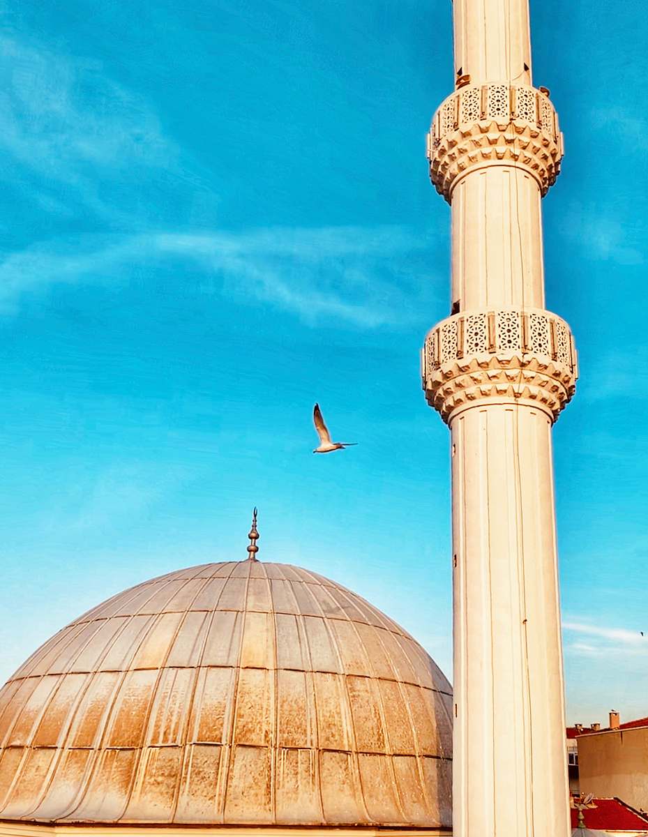 building photography of flying bird during daytime dome