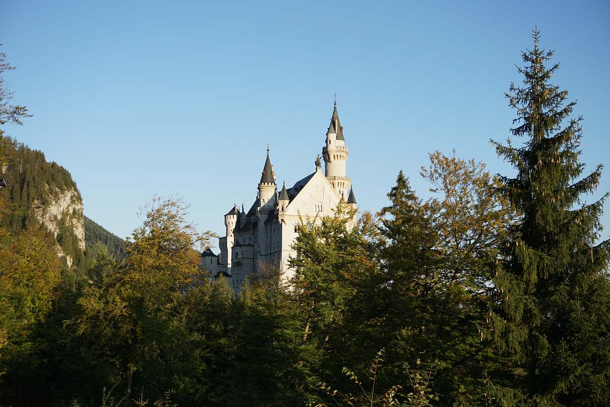 building pine trees overlooking white castle under blue sky spire