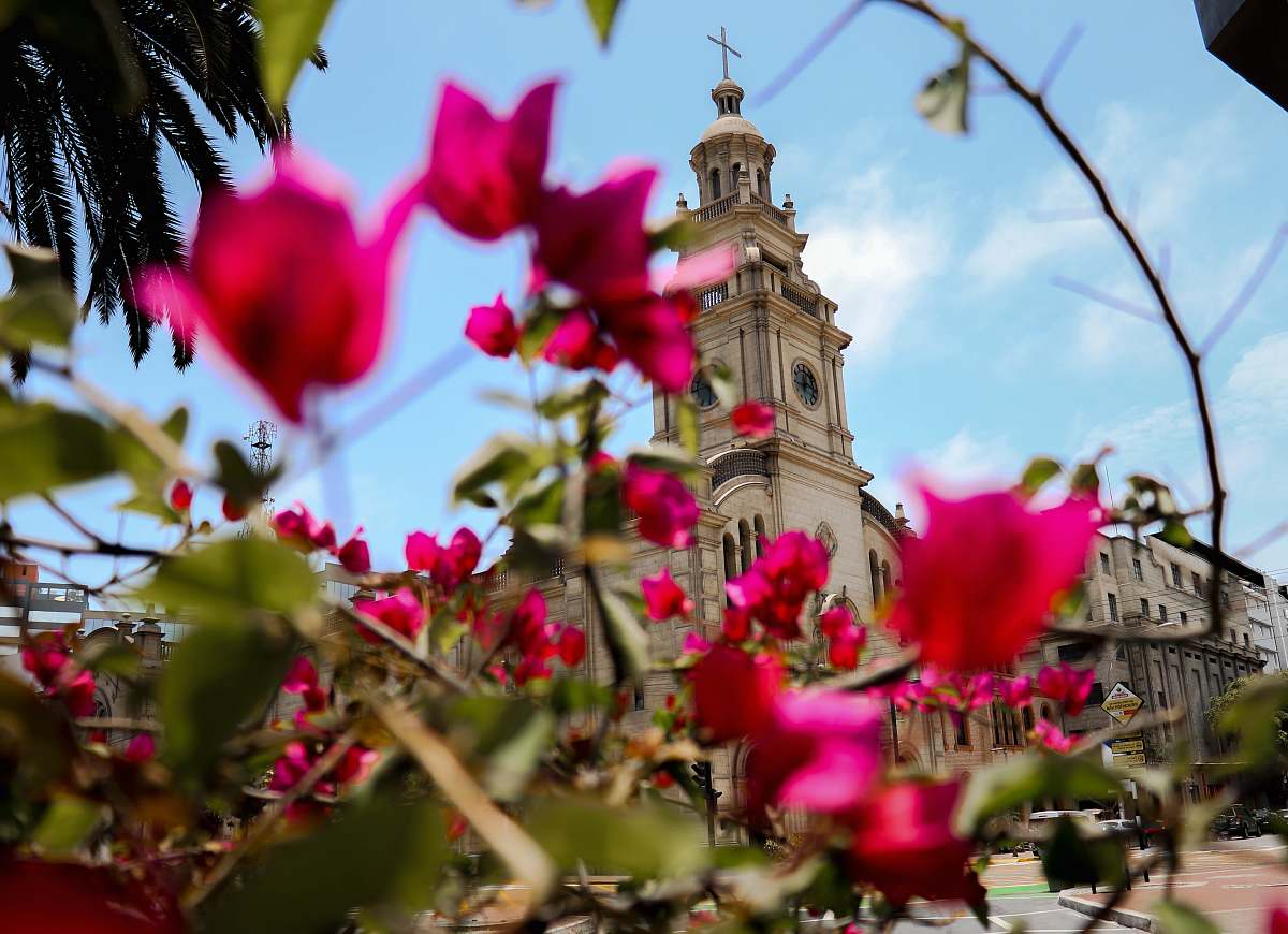 building pink-petaled flower tower