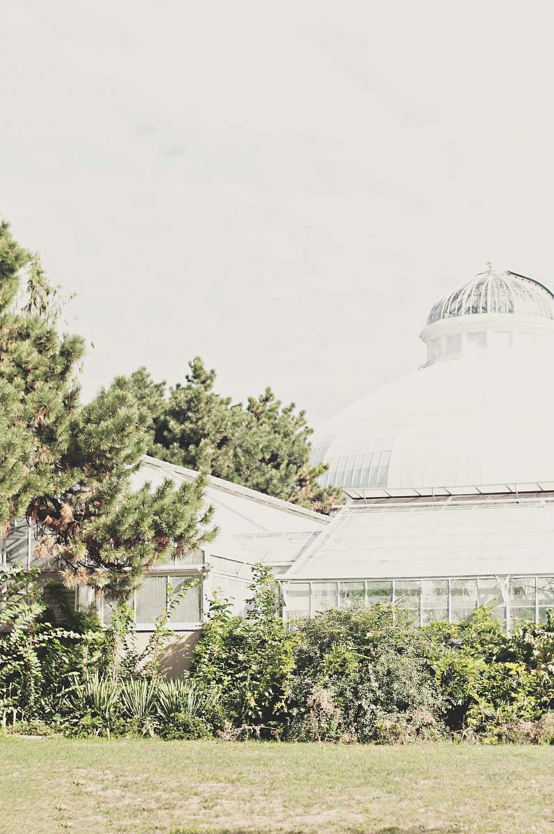 building selective focus photography of white building dome