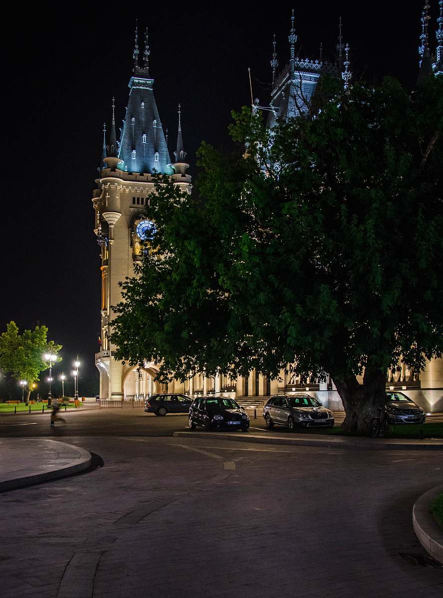 building three cars parked under tree during nighttime tower