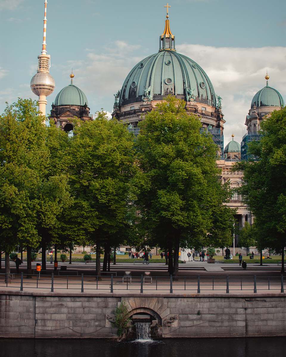 building trees near dome building dome