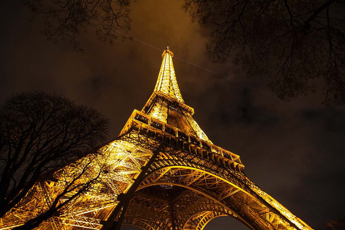 building trees near Eiffel tower tower