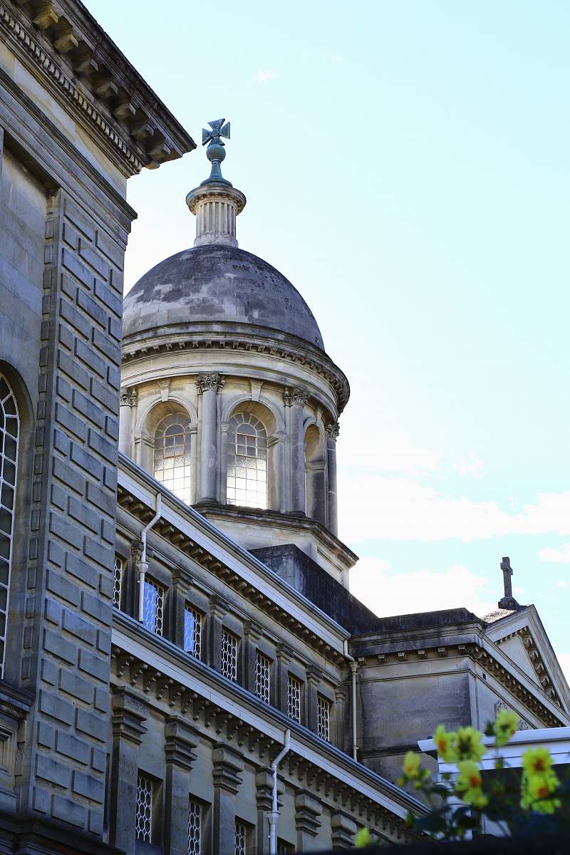 building trees near white mosque dome