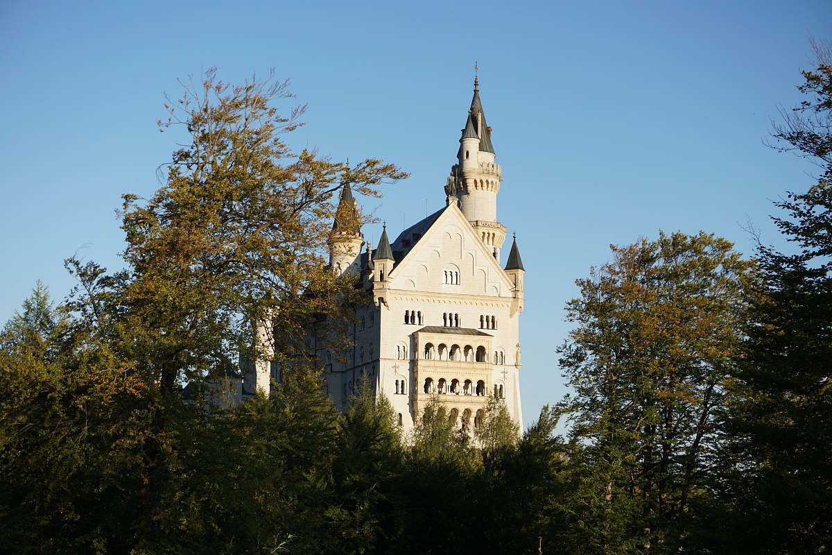 building trees overlooking white castle under blue sky spire