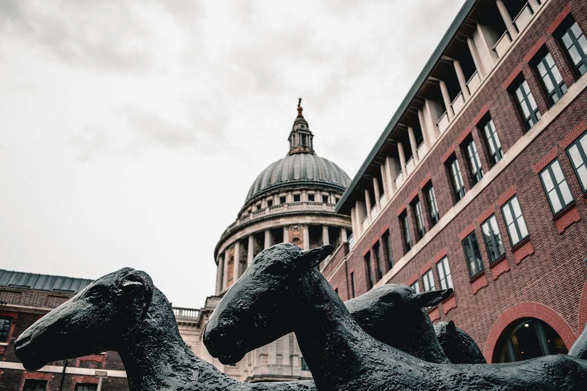 building two sheeps statue near building dome