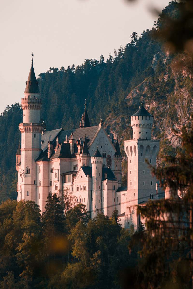 building white and black castle surrounded by trees castle