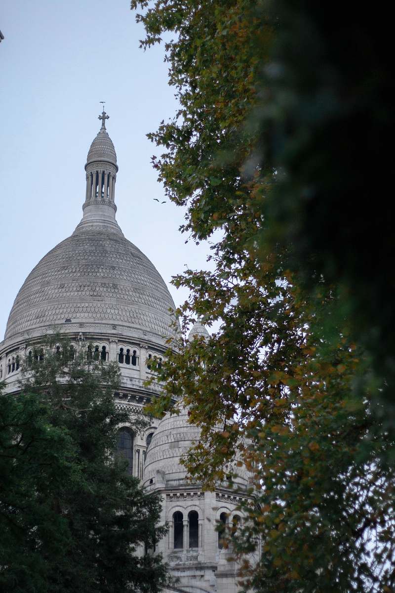building white and black concrete building dome