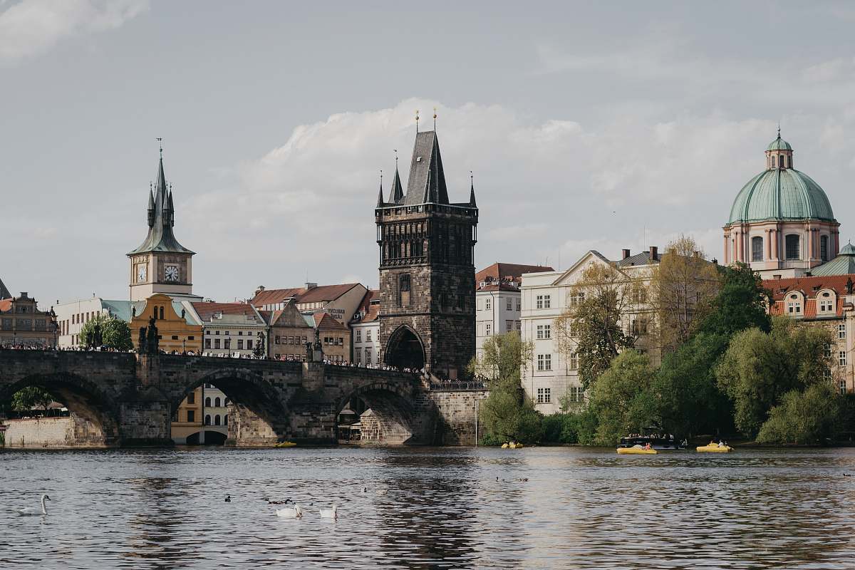 tower white and brown buildings near body of water steeple