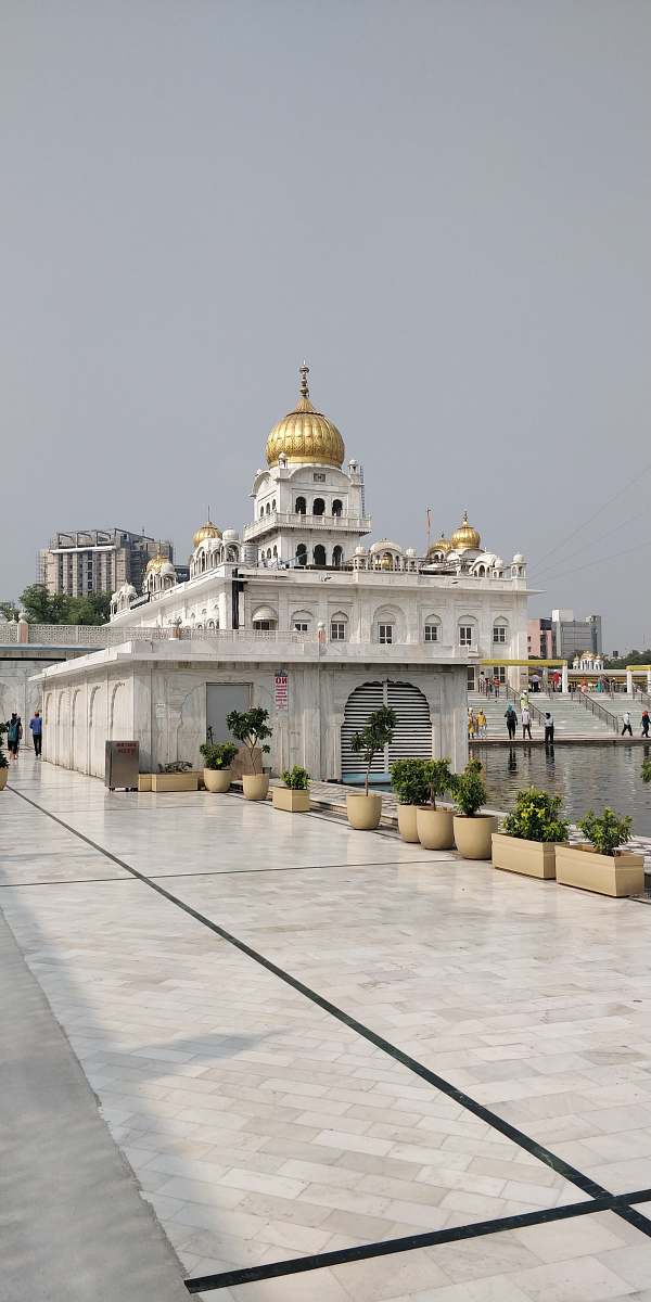 building white and brown concrete building dome