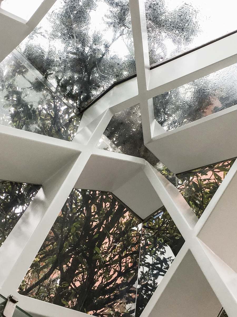 building white concrete posts beside high trees window
