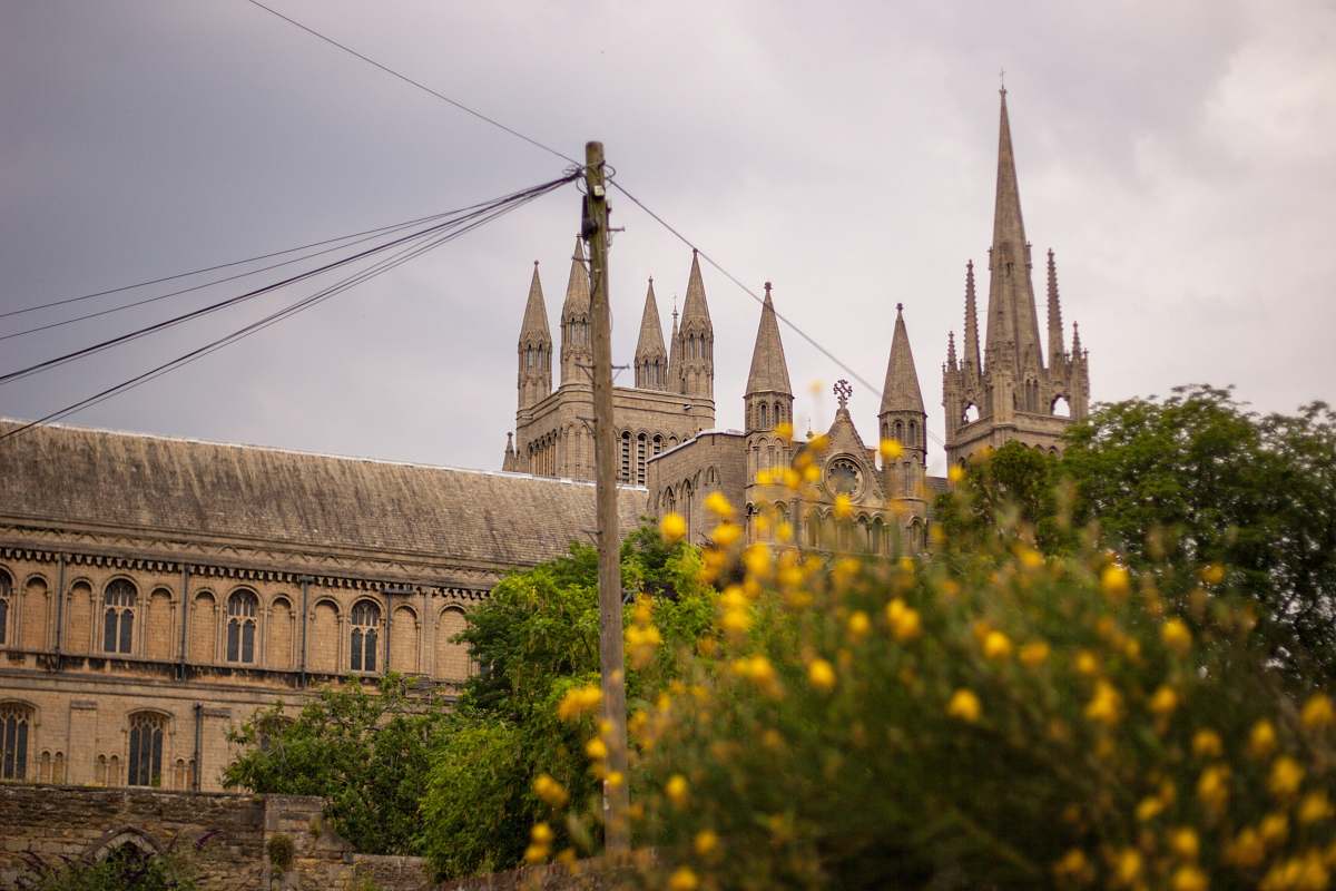 building yellow petaled flower near brown concrete building spire