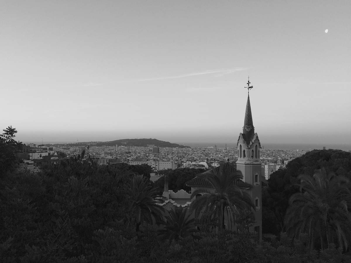 architecture church and trees building