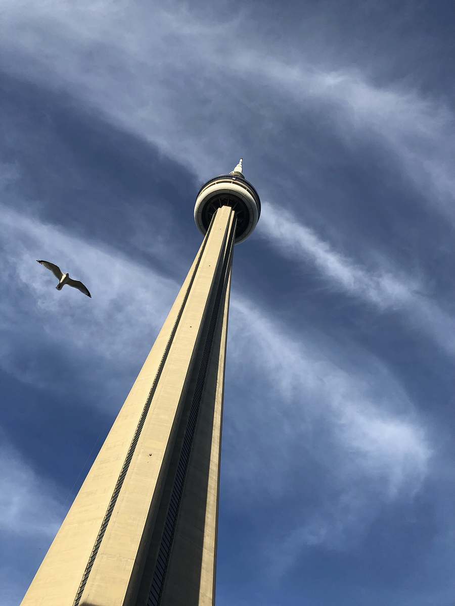 architecture bird flying near white tower during daytime tower