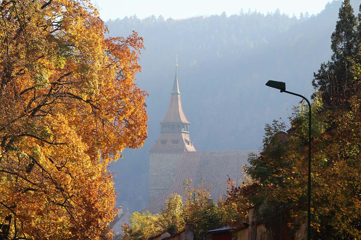 spire brown castle surrounded with tall trees steeple