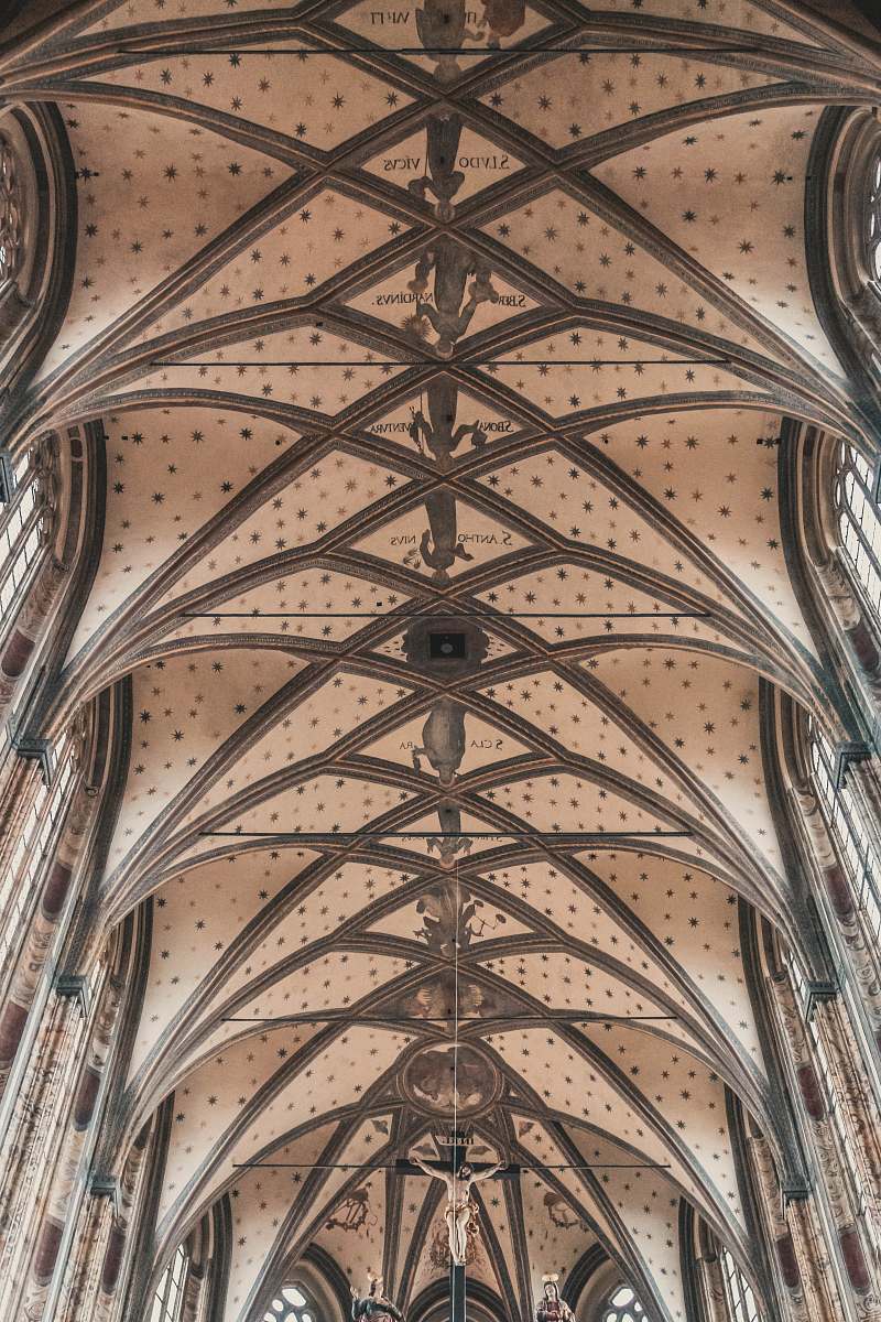 architecture brown cathedral church