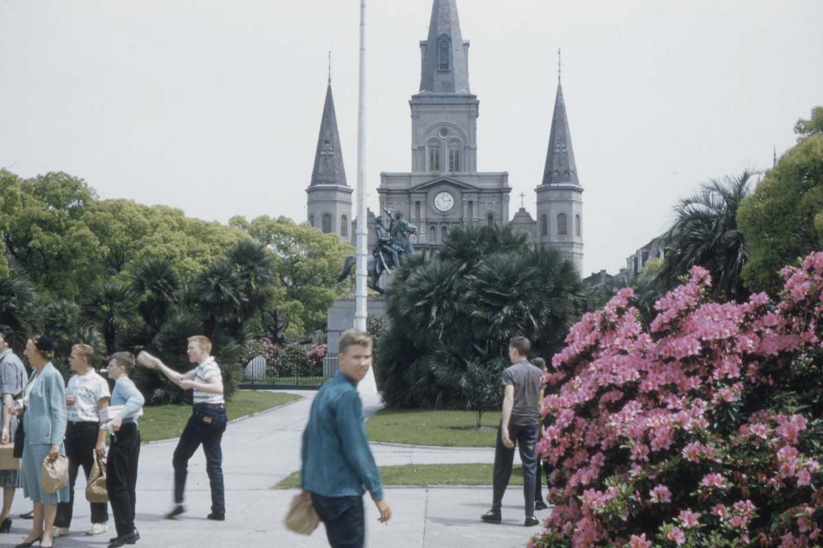 architecture people walking near pink-petaled flower spire