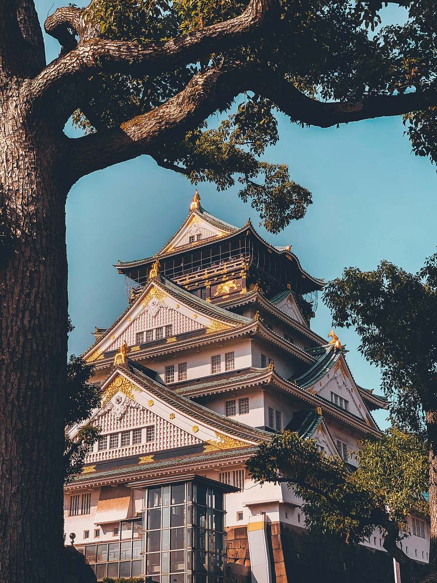 architecture white and black Japanese Castle pagoda