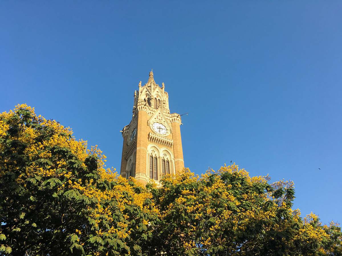 architecture white and brown clock tower tower