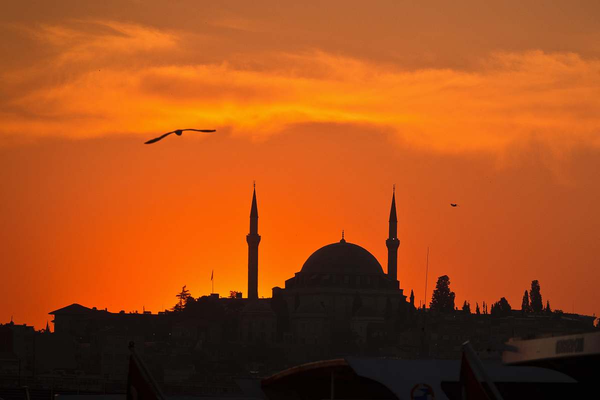 building silhouette of dome building architecture